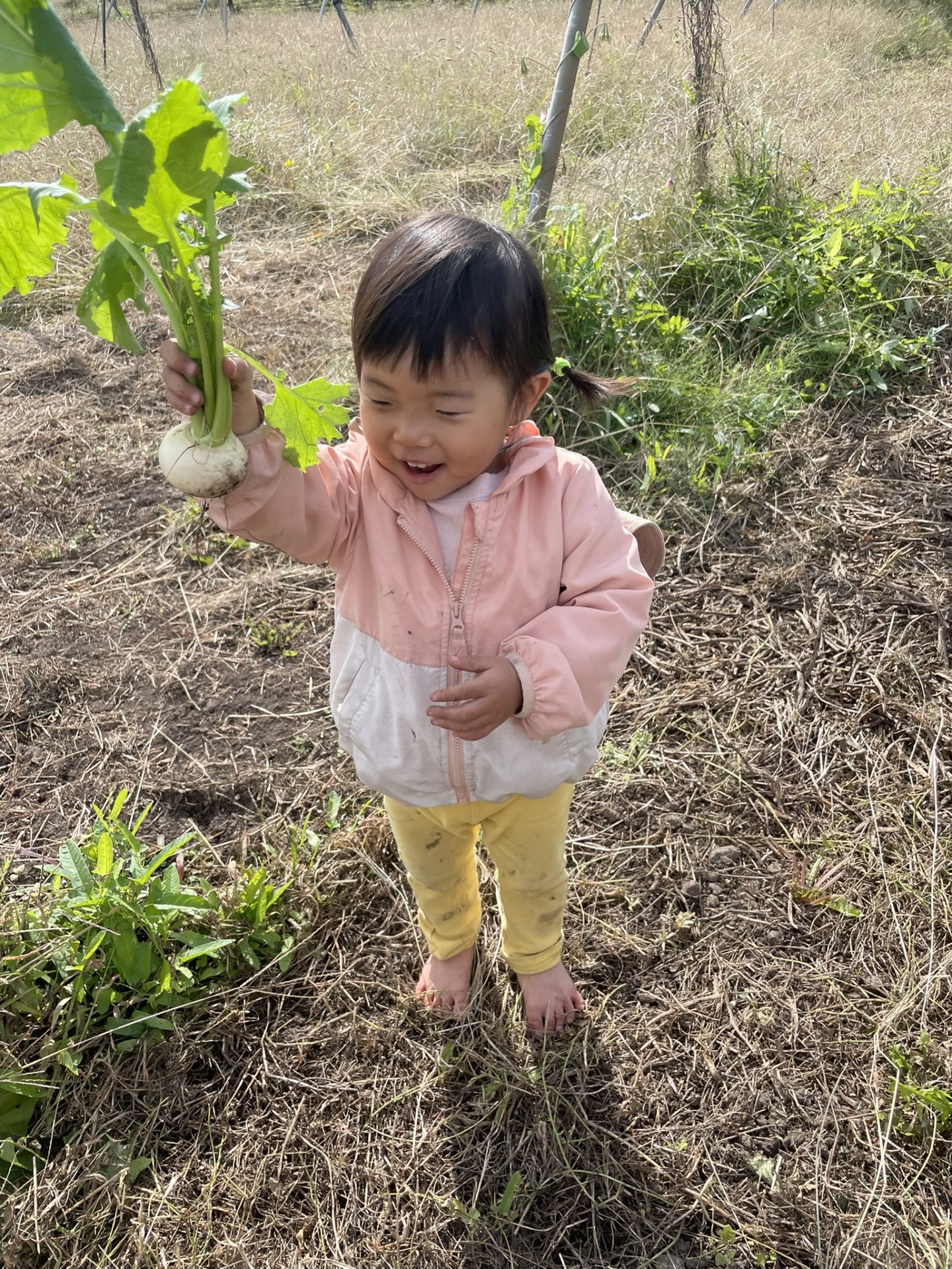 季節の変わり目の便秘解消法