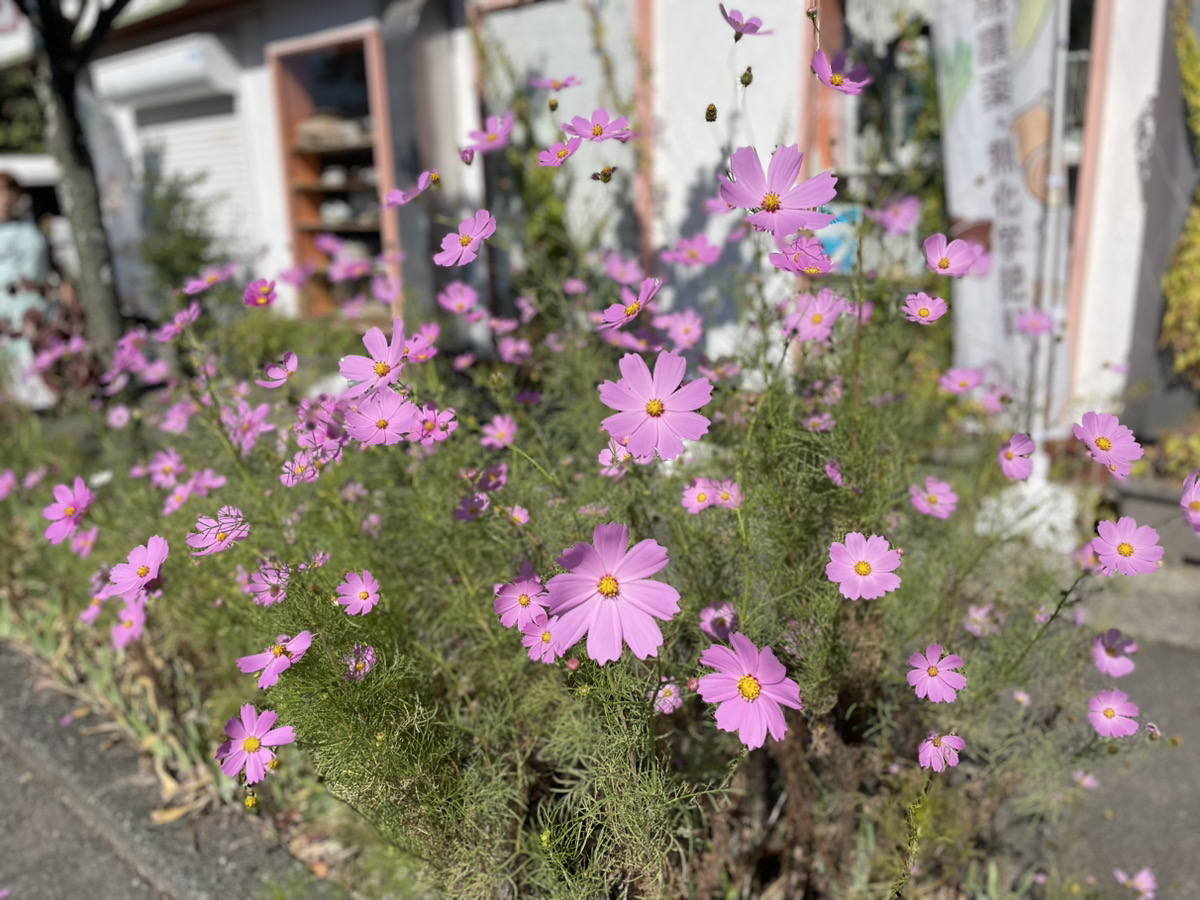 芯から温まる♨忘れられない温もりアイテム
